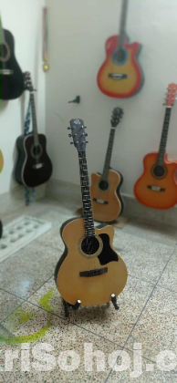 AS semi acoustic guiter